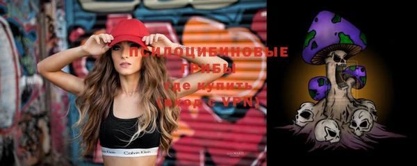 ГАЛЛЮЦИНОГЕННЫЕ ГРИБЫ Верея