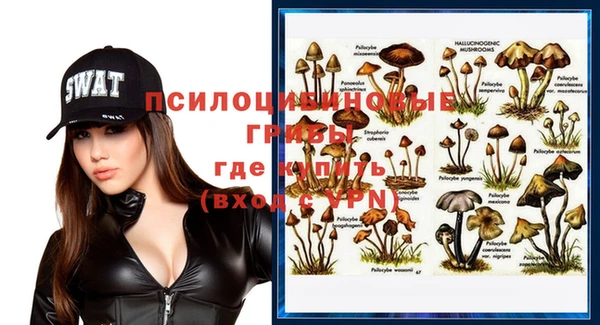 ГАЛЛЮЦИНОГЕННЫЕ ГРИБЫ Верея