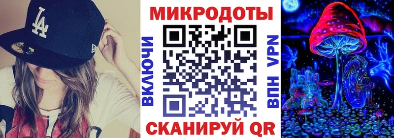 Псилоцибиновые грибы GOLDEN TEACHER  купить наркотик  Дзержинский 